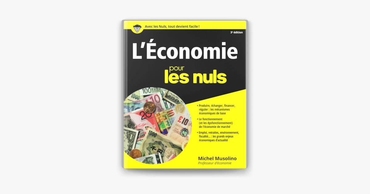 L'économie Pour les Nuls, 3ème édition