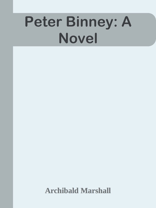 Peter Binney: A Novel