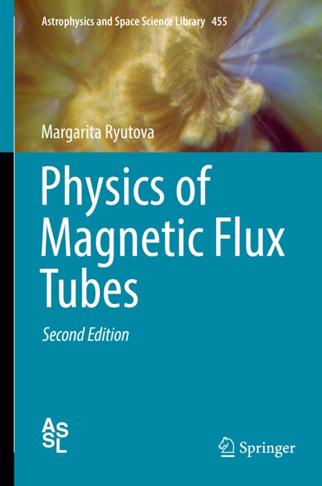 Physics of Magnetic Flux Tubes
