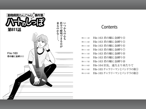 ハートのしっぽ62 On Apple Books