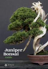 Juniper Bonsai Guide - Bonsai Empire Cover Art
