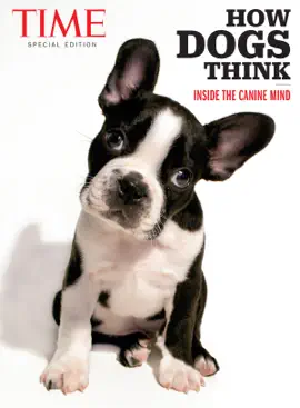 Read: TIME How Dogs Book Think