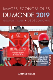 Images économiques du monde 2019 by François Bost, Laurent Carroué, Sébastien Colin, Antoine Laporte, Christian Pihet, Olivier Sanmartin & David Teurtrie
