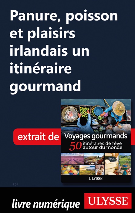 Panure, poisson et plaisirs irlandais un itinéraire gourmand