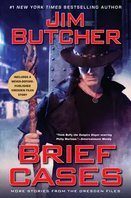 Read: Brief Cases Book