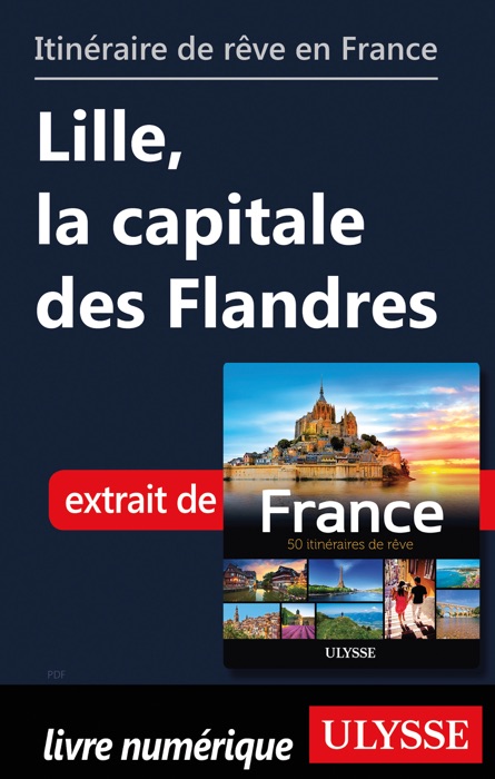 Itinéraire de rêve en France Lille, la capitale des Flandres