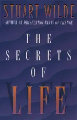 The Secrets of Life