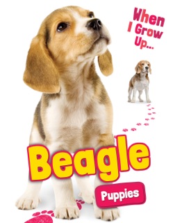 Beagle Puppies by Emmie Chang
