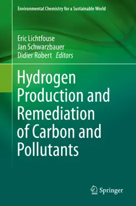 Read: Hydrogen Production and Remediation of Book Carbon and Pollutants