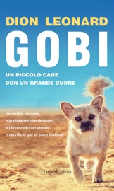 GOBI, UN PICCOLO CANE CON UN GRANDE CUORE