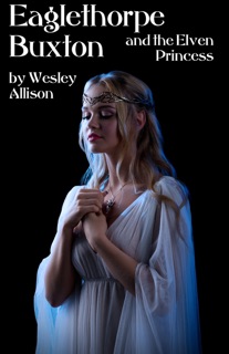 Eaglethorpe Buxton and the Elven Princess by Wesley Allison