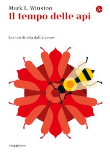 Il tempo delle api Book Cover