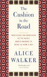 The Cushion in the Road - Alice Walker