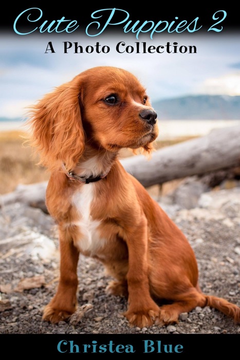 Cute Puppies 2: A Photo Collection