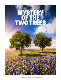 Mystery of the Two Trees - Gerald Flurry, Brad MacDonald & Philadelphia Church of God