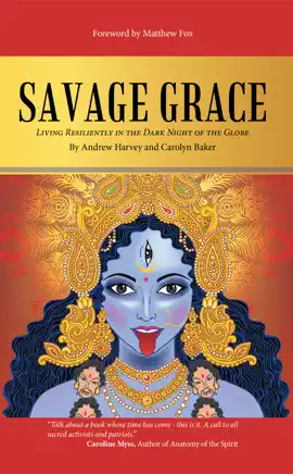 Read: Book Savage Grace