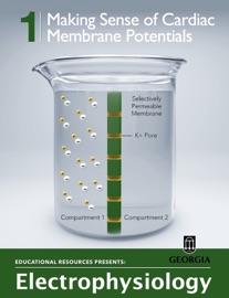 Making Sense of Cardiac Membrane Potentials - Educational Resources, University of Georgia