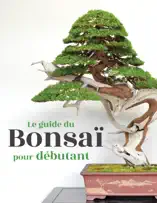 Le guide du Bonsaï pour Débutant