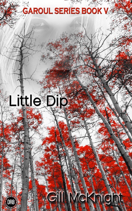 Little Dip