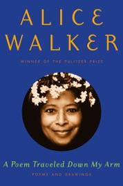 A Poem Traveled Down My Arm - Alice Walker