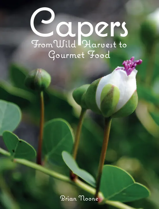 Capers. From WIld Harvest to Gourmet Food.