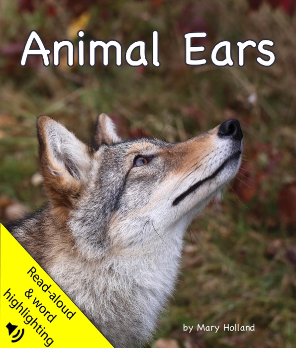 Animal Ears