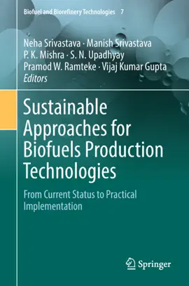 Read: Sustainable Book Approaches for Biofuels Production Technologies