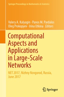 Computational Aspects and Applications in Large-Scale Networks by Valery A. Kalyagin, Panos M. Pardalos, Oleg Prokopyev & Irina Utkina