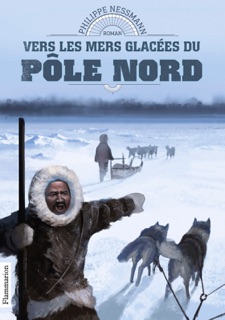 Vers les mers glacées du Pôle Nord by Philippe Nessmann