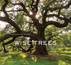 Wise Trees - Diane Cook, Len Jenshel & Verlyn Klinkenborg