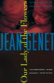 Our Lady of the Flowers - Jean Genet