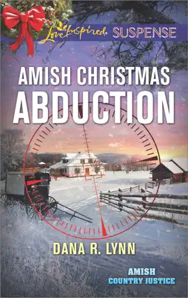 Read: Amish Book Christmas Abduction