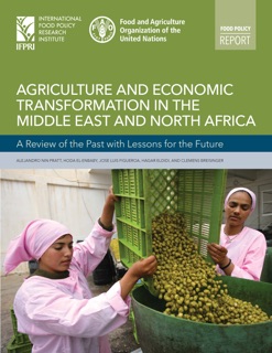 Agriculture and economic transformation in the Middle East and North Africa: A review of the past with lessons for the future by Alejandro Nin-Pratt
