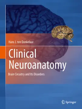 Read: Book Clinical Neuroanatomy