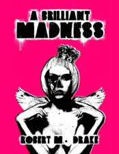 A Brilliant Madness - Robert M. Drake Cover Art