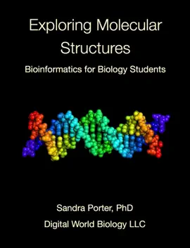 Exploring Molecular Structures