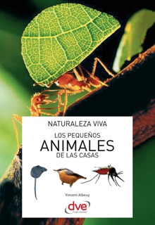 Los pequeños animales de las casas by Vincent Albouy