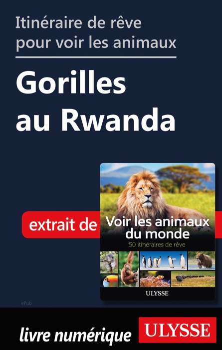 Itinéraire de rêve pour voir les animaux Gorilles au Rwanda