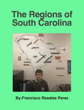 Read: Exploring Plane and Solid Shapes at Book Daisy Elementary