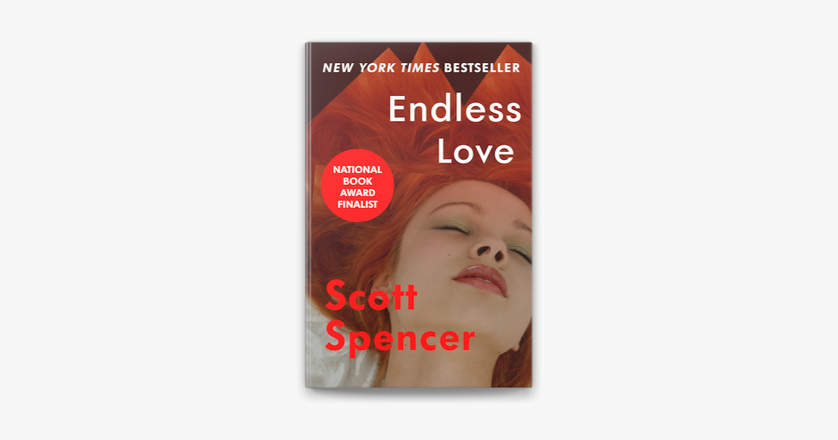 4. "Endless Love" (novel) by Scott Spencer - wide 2