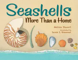 Seashells
