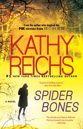 Read: Spider Book Bones