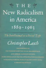 New Radicalism in America
