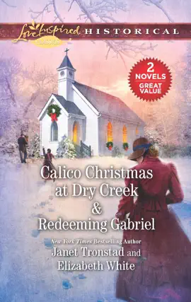 Read: Calico Christmas at Dry Creek Book & Redeeming Gabriel