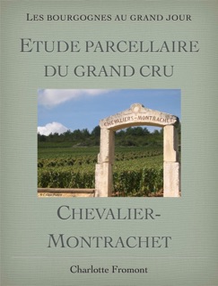 Etude parcellaire du grand cru Chevalier-Montrachet - Charlotte Glain Fromont