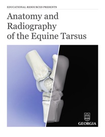 Anatomy and Radiography of the Equine Tarsus - Educational Resources, University of Georgia
