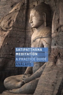 Satipatthana Meditation by Analayo