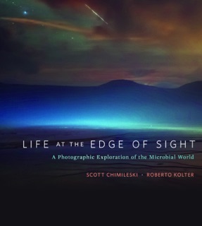 Life at the Edge of Sight by Scott Chimileski & Roberto Kolter