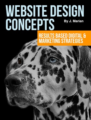 Website Design Concepts