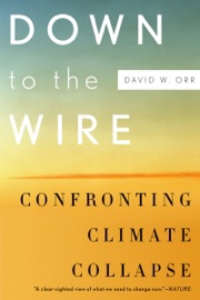 Down to the Wire - David W. Orr